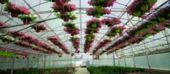 Schermata 2018-06-29 alle 08.50.03