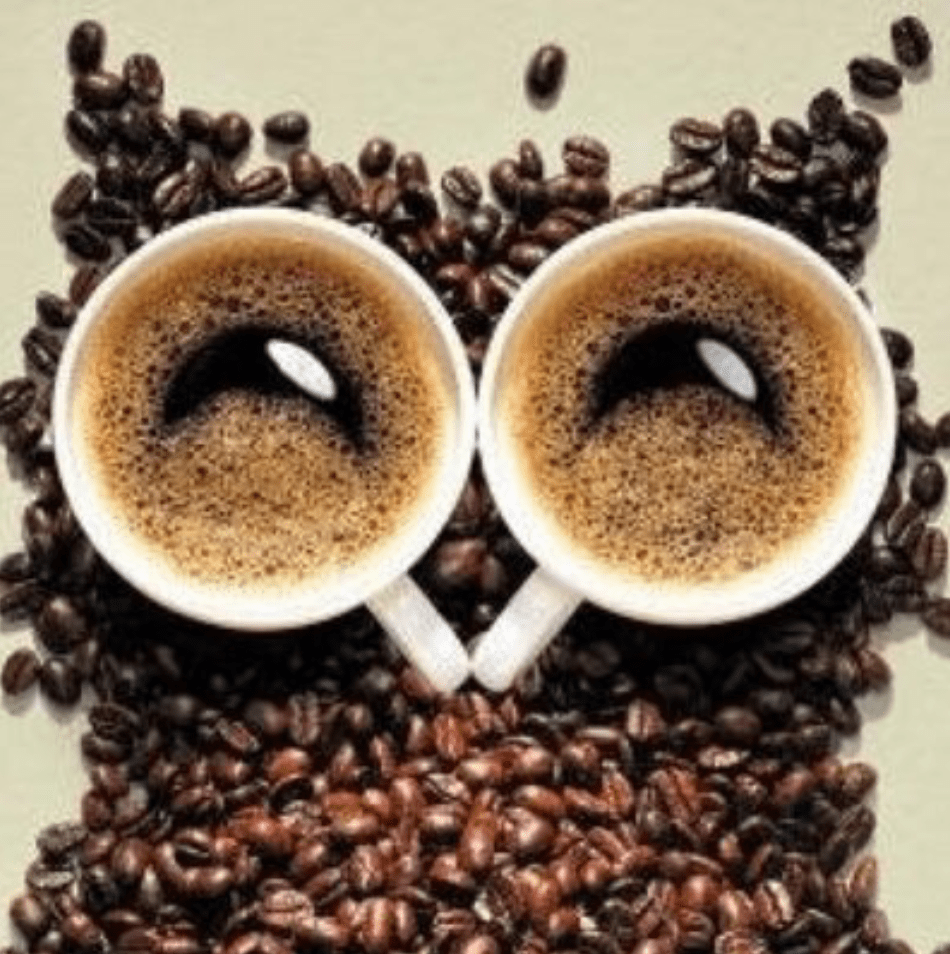 Caffè Ruffini di Pomezia si affida per la formazione in web marketing al prof. Americo Bazzoffia